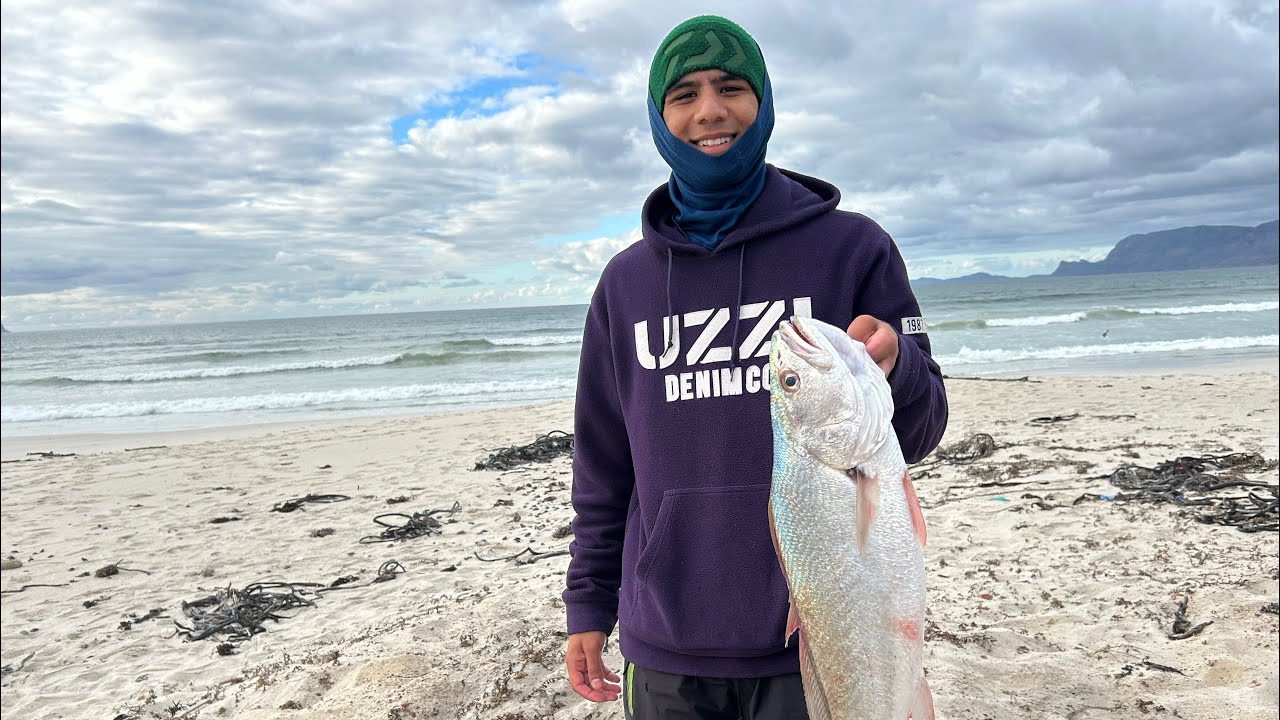 МНОЖЕСТВО РЫБЫ В ЗАЛИВЕ ФОЛС-БЕЙ