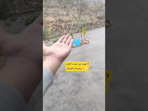 لا تهرب من صوت القران فرحنا باشتراك اكسبلور ليكات     89