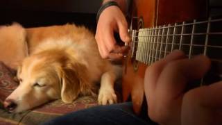 Play Guitar With Dog - One Last Wish from Casper screenshot 5