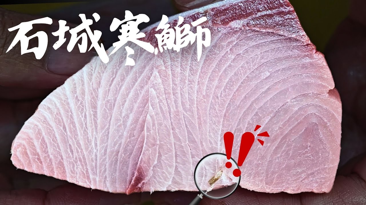 一刀蟲一刀富 博一把石城寒鰤 !  | 一次搞懂青甘與平政的外觀差異