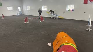 Week 184 Agility 1 40x60 Sullivan