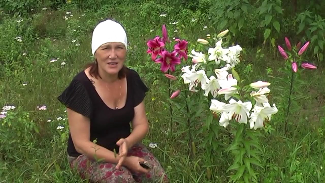 Как прошло это лето и новые эксперименты