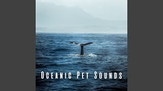 Oceanic Pet Therapy Waves