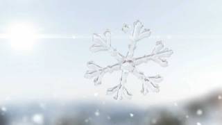 CINEMA 4D SNOWFLAKE 1080p (created for brandora)