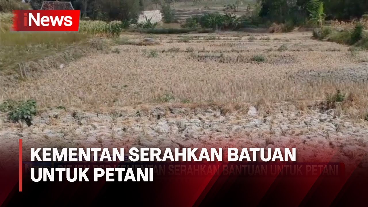 Bantuan El Nino Itu Apa Bantuan El Nino Itu Apa