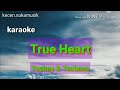 True Heart - Tackey &amp; Tsubasa karaoke