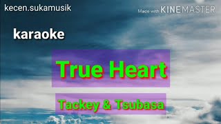 True Heart - Tackey & Tsubasa karaoke