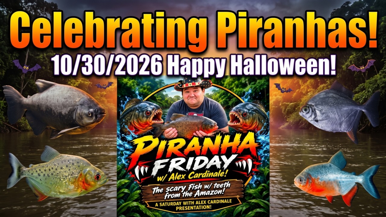 Piranha Friday w/ Alex Cardinale: 10/30/2026
