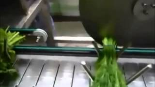 Herb Processing