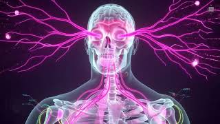 What Lives Inside Your Bones Will Shock You — Full 3D Human Body Revealed(@HumanAnatomyMysteries )