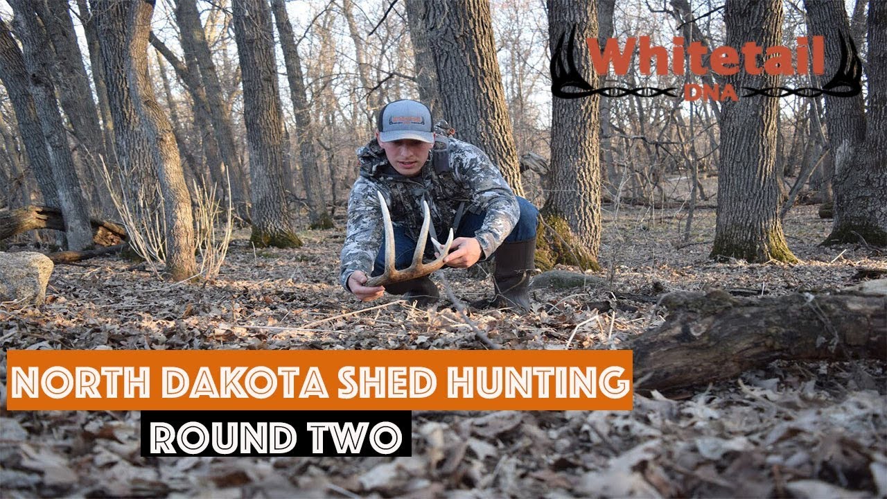 2018 Vlog 13 North Dakota Shed Hunting Round 2 YouTube