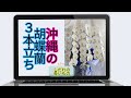 沖縄の胡蝶蘭3本立ち（就任祝い・周年祝いなど）沖縄のオンライン花屋