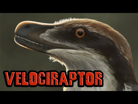 Sound Effects Velociraptor Mongoliensis DangerVille And Yoshi Draco S Version 