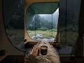 This is the most relaxing camping trip ever.🌧️🐕#raincamping #goldenretriever #rainforest #heavyrain