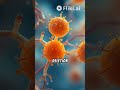 What Is MRS2L? Magnesium Transport Simplified.#MRS2L #MagnesiumTransport #CellBiology #Magnesium