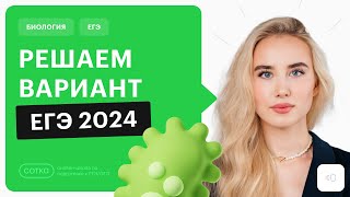 Решаем вариант ЕГЭ по биологии 2024 / Онлайн - школа СОТКА