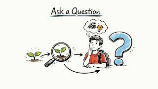 Scientific Method Testable Question