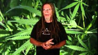 How To Grow Marijuana Don't Touch Your Plant Tip Of The Day