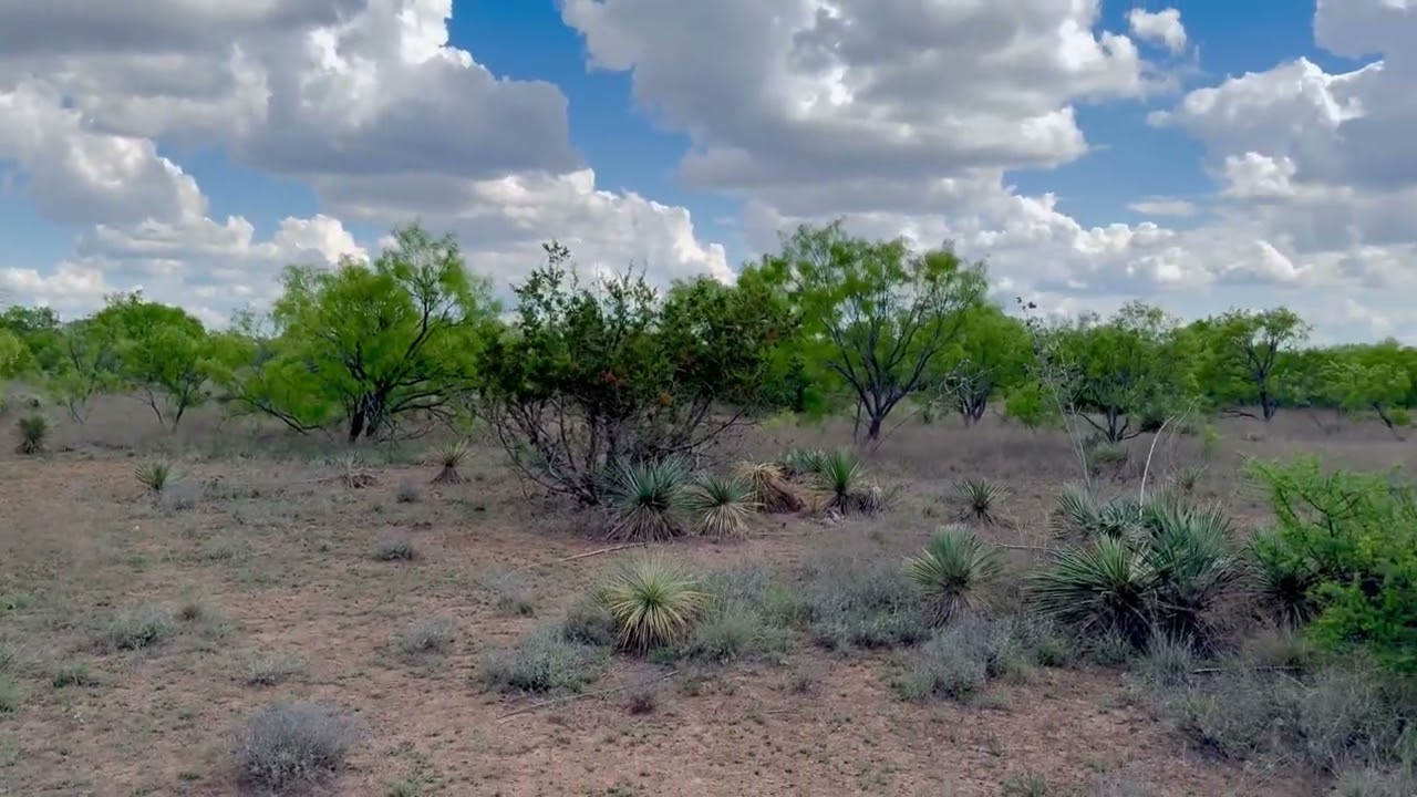 70 ACRES $4,995.00 Unrestricted, AG Exempt & No Restrictions