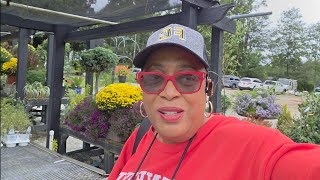 Great Deals at Art of Landscape|1120 Hwy 85 S|Fayetteville, Georgia 