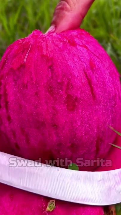 Fruit 🍓🍓🍓🍓🍓 #shorts #swadwithsarita