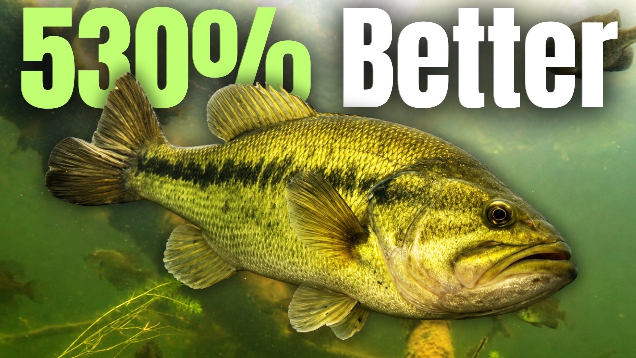 4 Bass Fishing “SECRETS” That Made Me 530% Better 4 Bass Fishing “SECRETS” That Made Me 530% Better