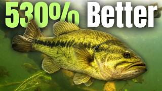 4 Bass Fishing “SECRETS” That Made Me 530% Better