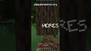 Join This Pixelmon Smp Server In One Click