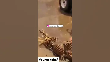 Explore شي فيزا لميلانو 
