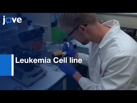 Leukemia Cell line for Macrophage Differentiation and Polarization | Protocol Preview