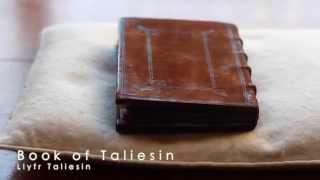 National Library of Wales - digiDo Project Video (English)