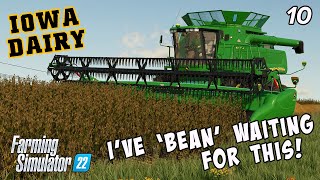 I've 'BEAN' waiting for soybean harvest to begin! - IOWA DAIRY - UMRV EP10 - FS22 screenshot 5