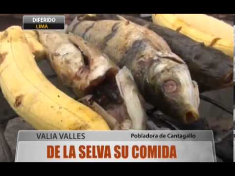 La De Selva Comida La De Selva Comida