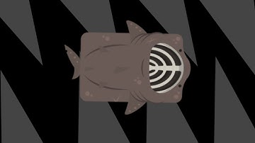 Basking shark really isnt that bad in deeeep io
