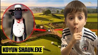 Olamaz Aras Koyun Shaun Ariyor Sakin Açma Napcaz