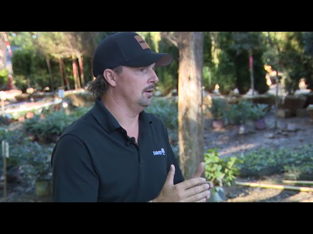 Drastic Drought Conditions Push Back Plantings in Charlotte