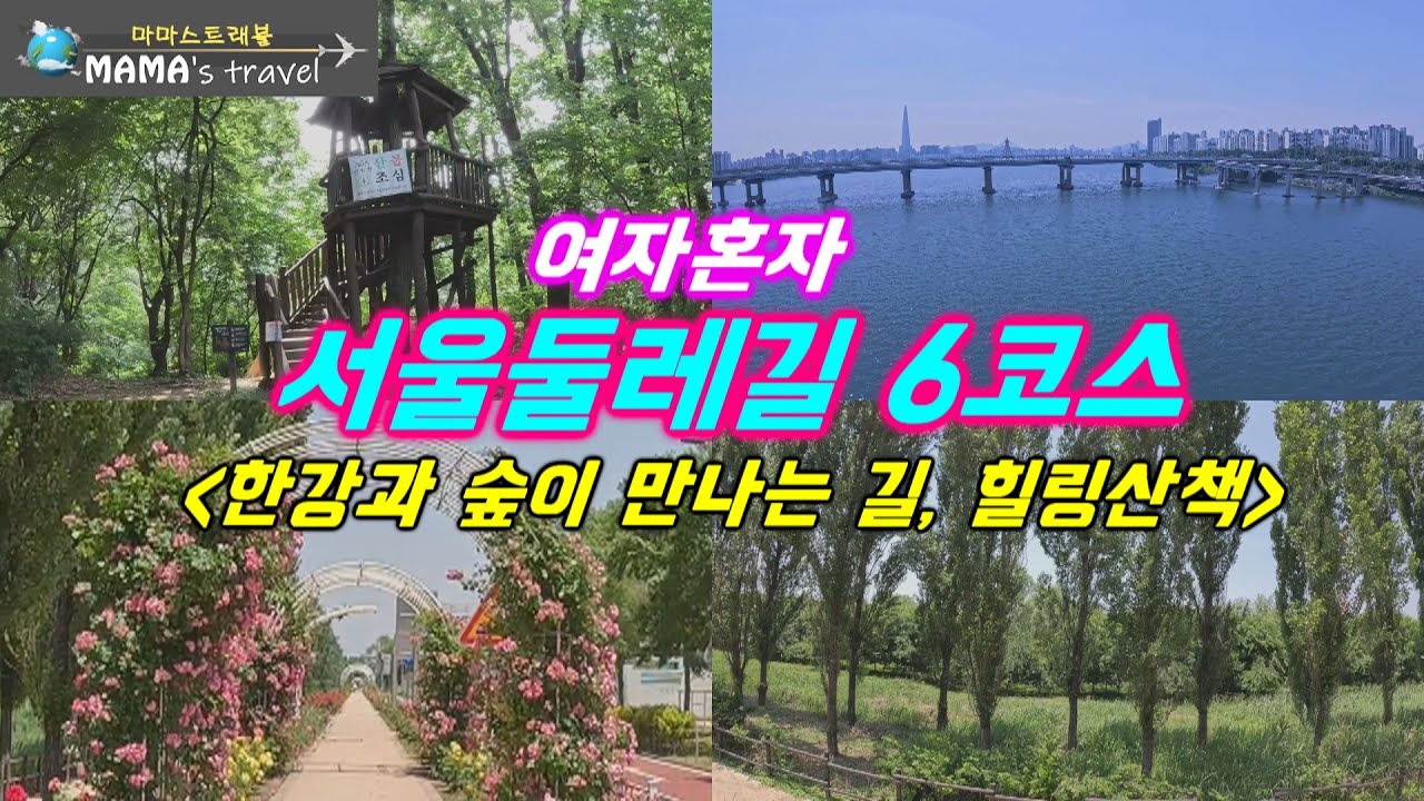 #374 [서울 여행] 당신이 몰랐던 서울의 숨은 보석, 9.3km, 3시간!/가볍게걷고 싶은날, 6코스가 정답/걷기만 해도 기분 좋아지는 마법/고덕산 소나무숲길에서 피톤치드 샤워