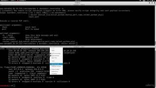 8. Getting a Reverse Connection From Weevely