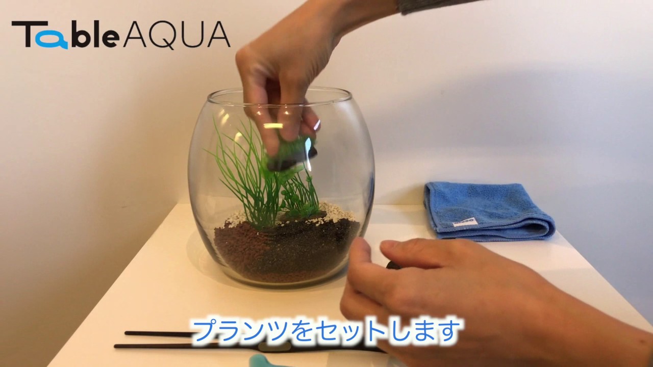 公式 テーブルアクア Youtube