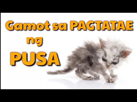 Video: Paano Gumamit ng Pananampalataya (na may Mga Larawan)