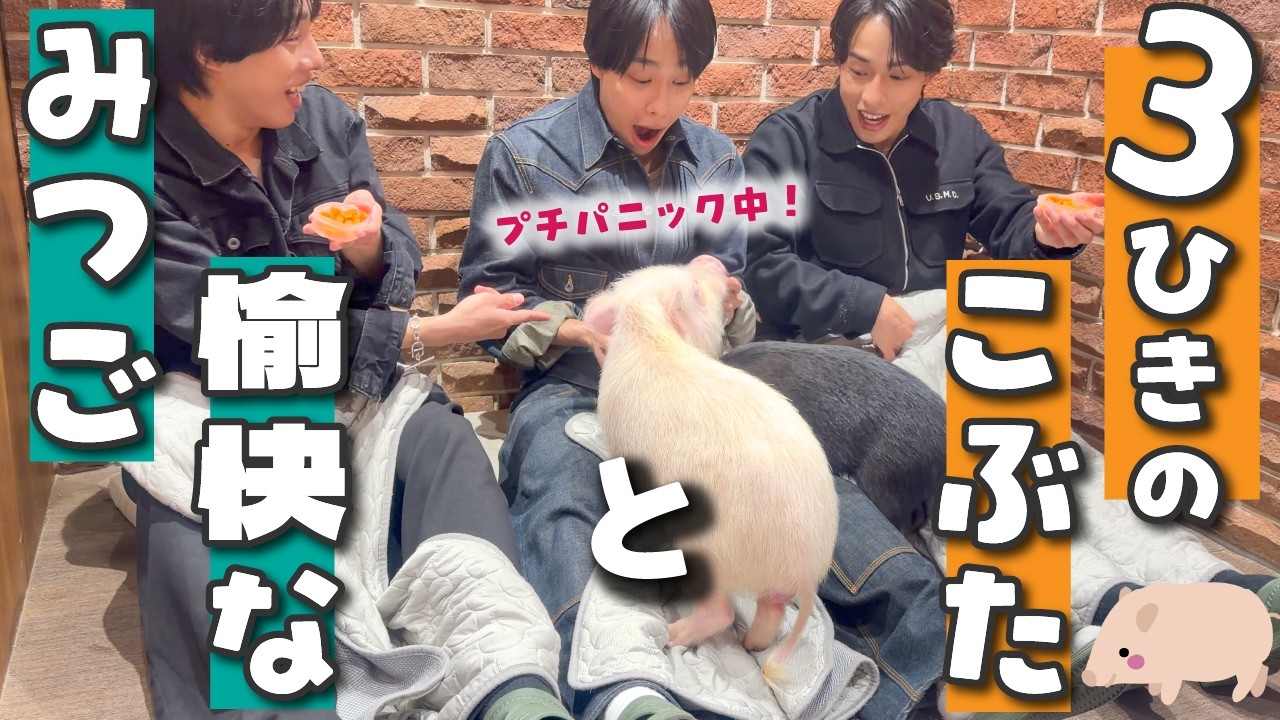 Healing] A traffic jam of cuteness. The triplets want to take the