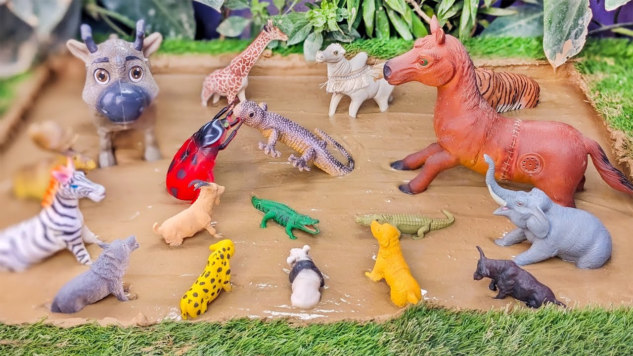 Safari Splashdown Jungle and Zoo Animals' Mud Madness Rescue Mission