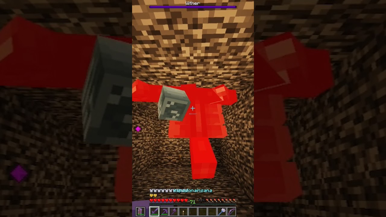 Derretendo um wither com a Notch armor e uma espada com todos os encantamentos do jogo