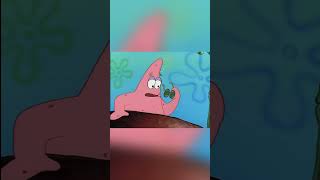 Tea at the Treedome #spongebob #spongebobsquarepants