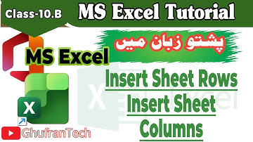 Inserting Sheets, Rows & Columns in Excel - Full Pashto Tutorial | Microsoft Excel