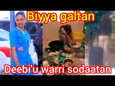 Shamarran Gaaffii Keessan Biyya Galee Deebihu Wayyammoo Itti Fufee Hojjedhe Galuu Wayya