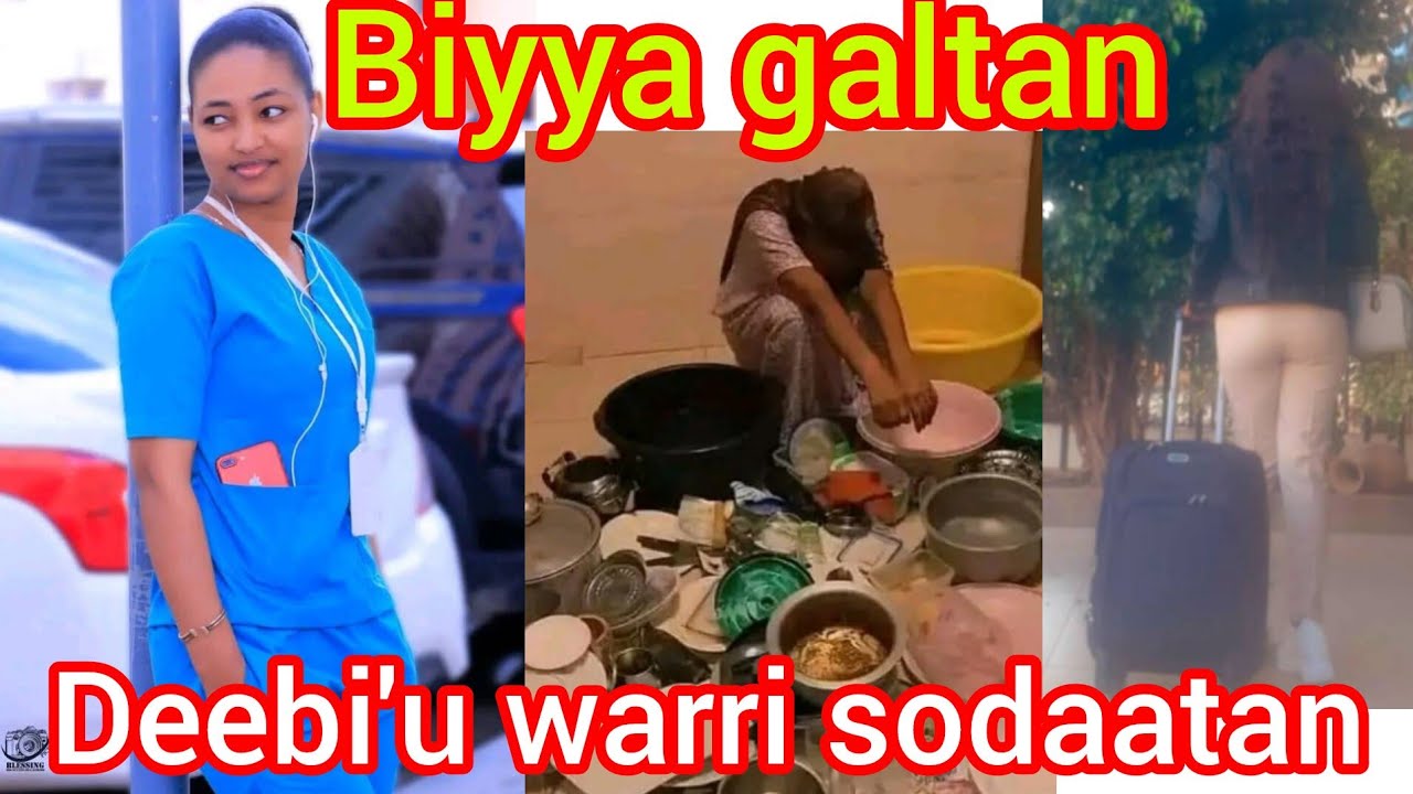 🥰shamarran Gaaffii keessan biyya galee deebihu wayyammoo itti fufee hojjedhe galuu wayya?