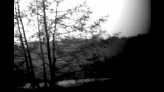 Library Tapes - Shut Your Eyes And You'll Find The Trees Turning Into Flames