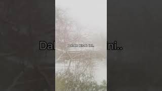 Download Lagu Ku coba tuk bertahan MP3