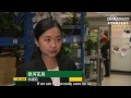 Faces of Macao: flower shop girl